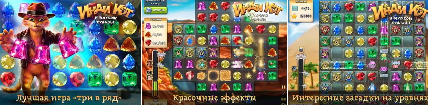 Инди кот